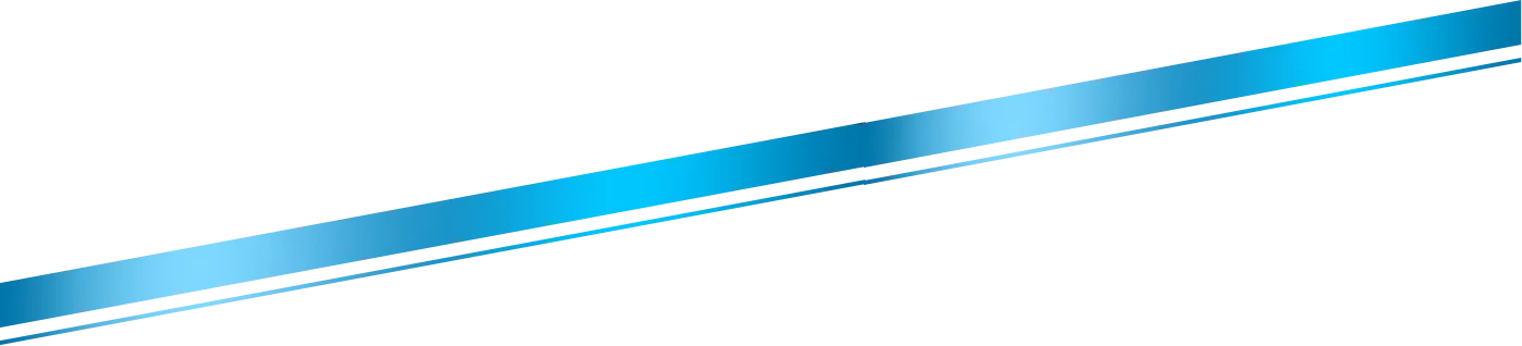 p-2-1_1.webp