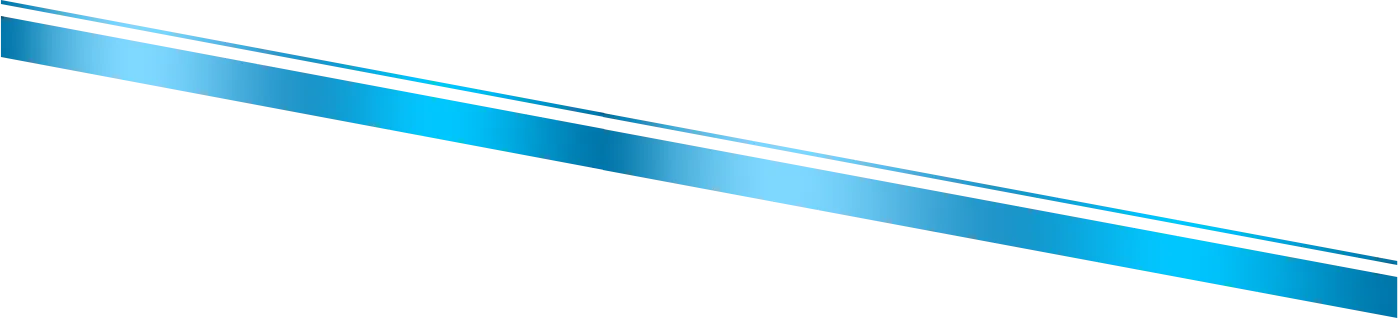 p-1-1_1.webp