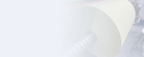 Label slitting machine 